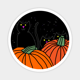 Pumpkins and Cats on Halloween Night Magnet